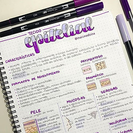 Histologia é amor 💜 ⠀⠀⠀⠀⠀⠀⠀⠀⠀_⠀⠀⠀⠀⠀⠀⠀_⠀