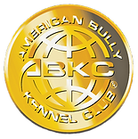abkc-Australia-logo-gold.png