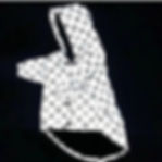 Thumbnail: Louis Pawtton Reflective Jacket