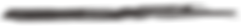pattern(3)_edited.png