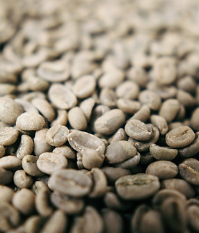 coffee beans close-up photography_edited