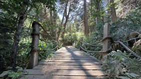 Private Forest Film location Film