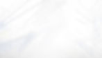 bg-white+line.jpg