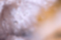 iStock-938690912en 1500pixels.jpg