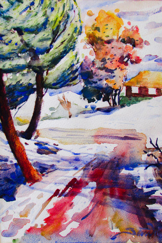 17.1- Snow In New York - Alex Santillan (2).jpg