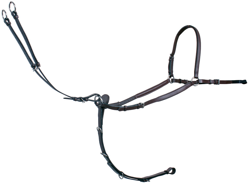 Thumbnail: Platinum 3 Point Breastplate