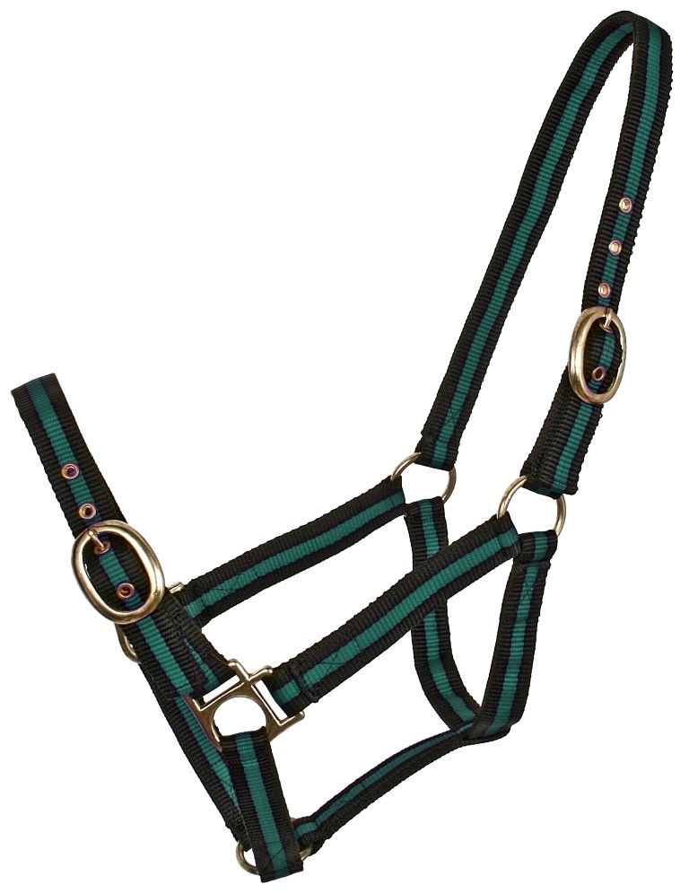 Thumbnail: Blue Tag Striped Web Halter