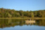 DSC_0156.jpeg