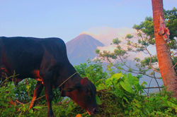 44177263_736691766693833_151758925910664