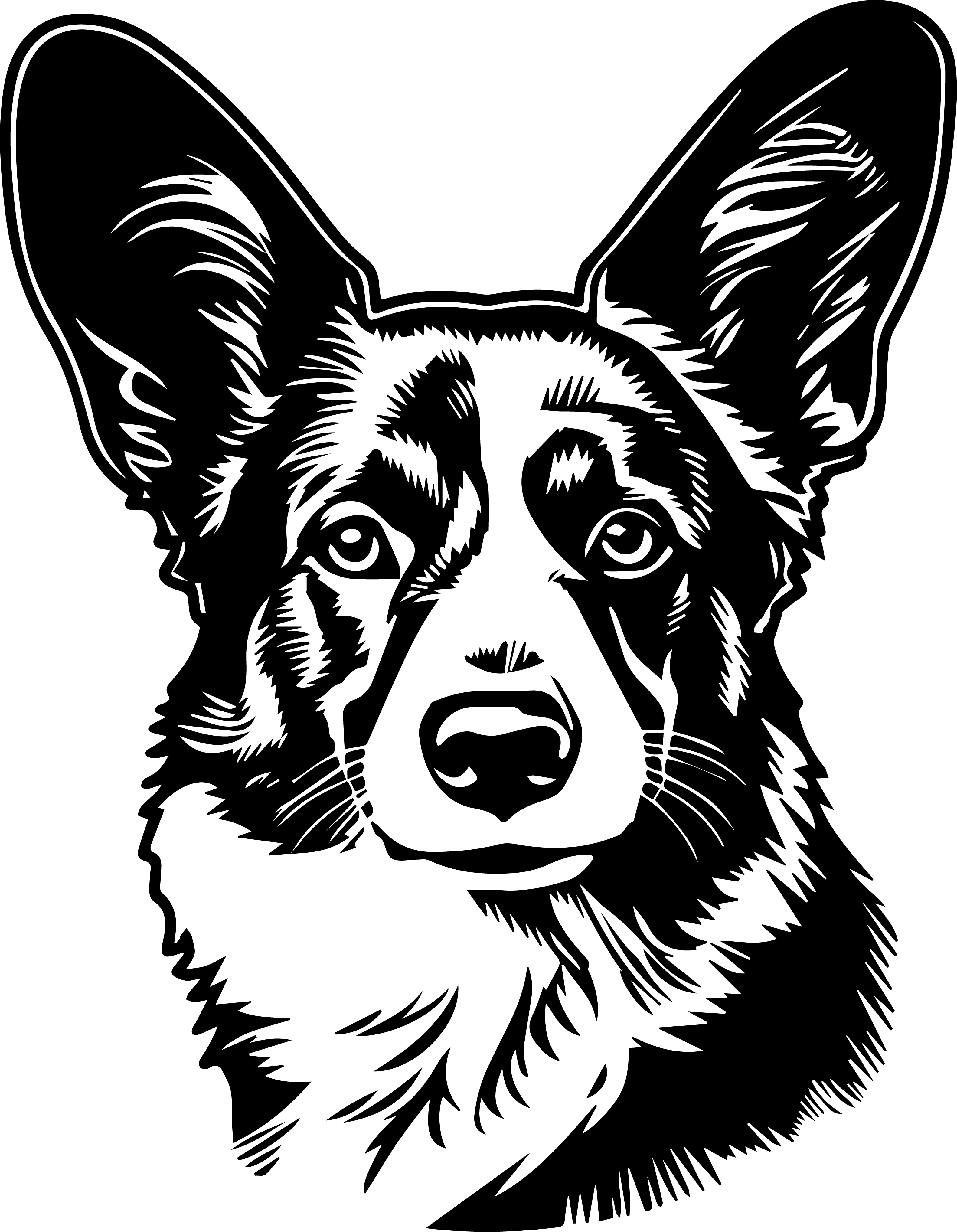 Cardigan Welsh Corgi