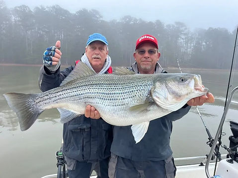 Guided striped bass and hybrid bass fishing trips in Georgia