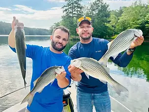 Trophy striper caught during a Georgia fishing charter