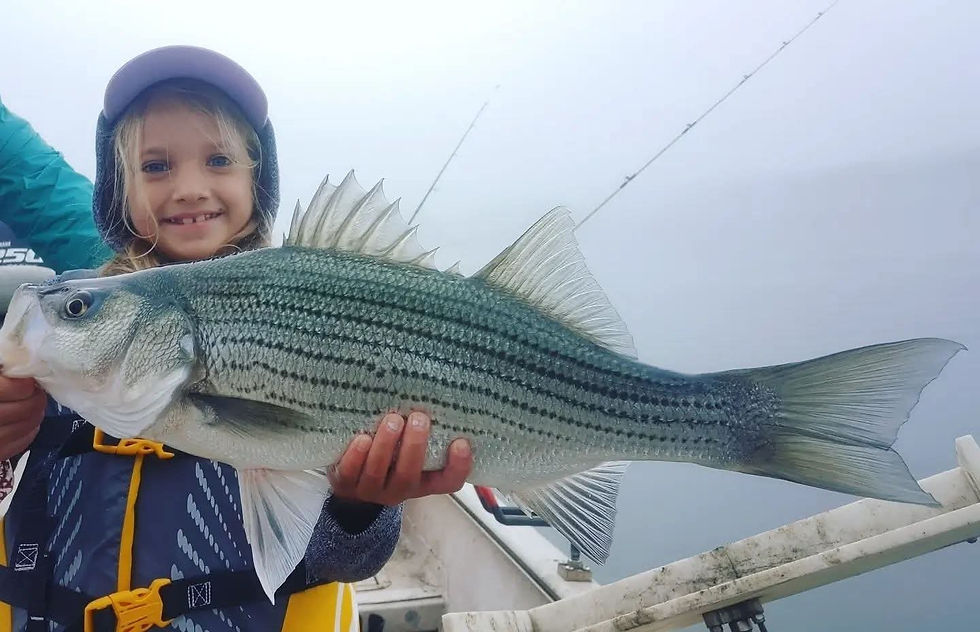 striper fishing adventure photo