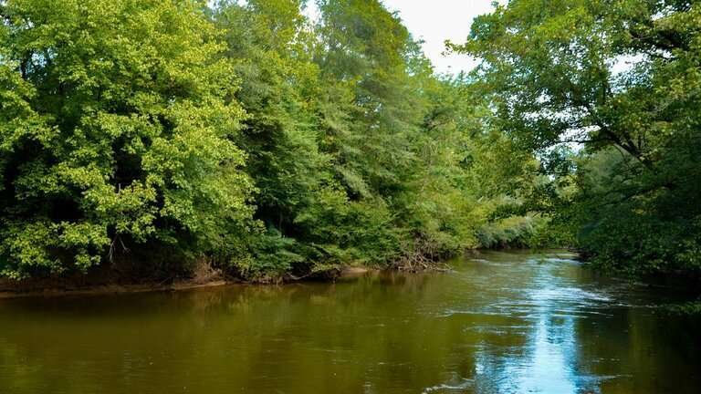 Etowah River striped bass fishing location in North Georgia