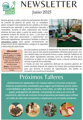Newsletter Junio 2025.png