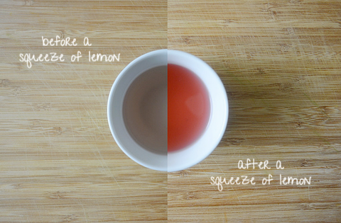 THE HUE: Purple Tea | JusTea