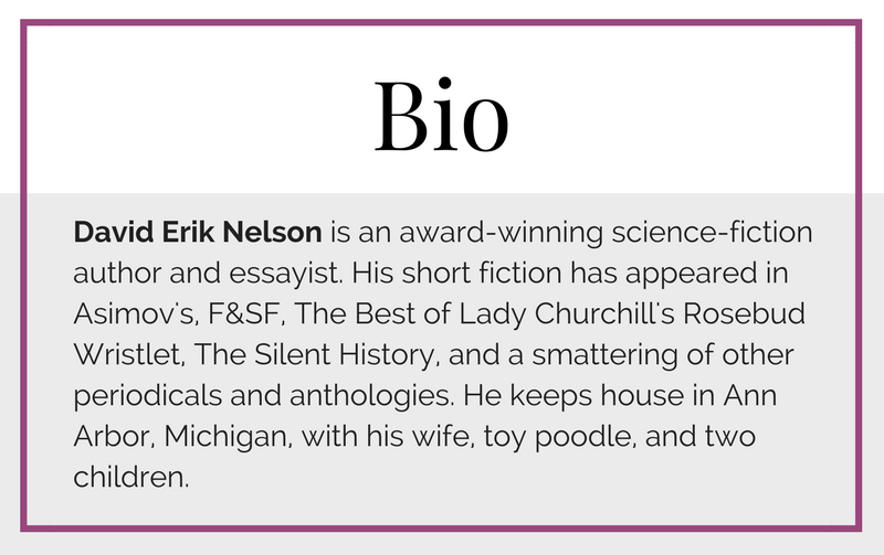 BLOGVIEW with David Erik Nelson | The Never Expiring Story