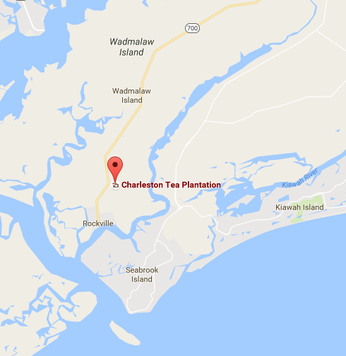 Charleston Tea Plantation | Charleston, SC