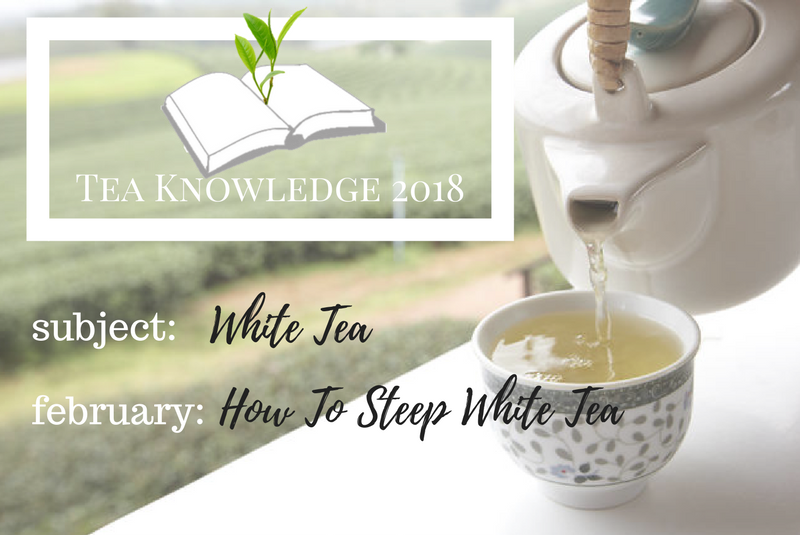 Tea Knowledge | What Is White Tea?
