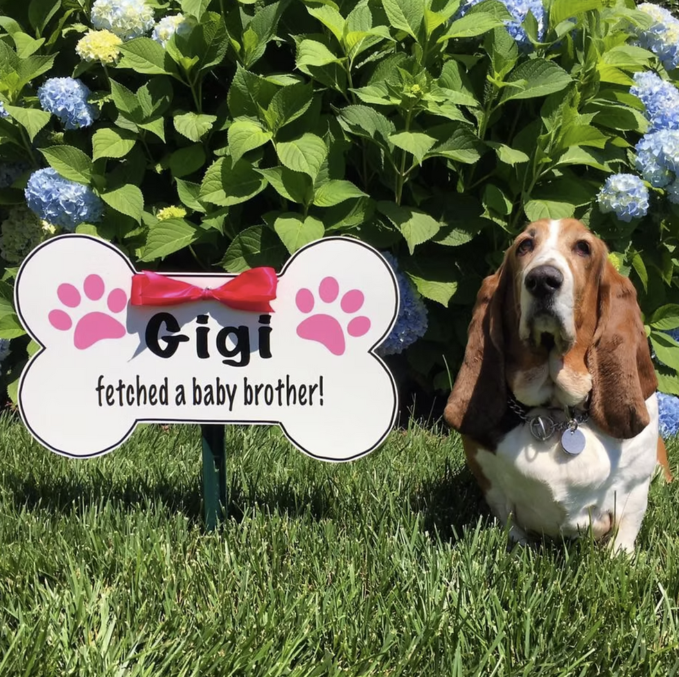 Dog Bone Keepsake Signs (only available with stork rentals)