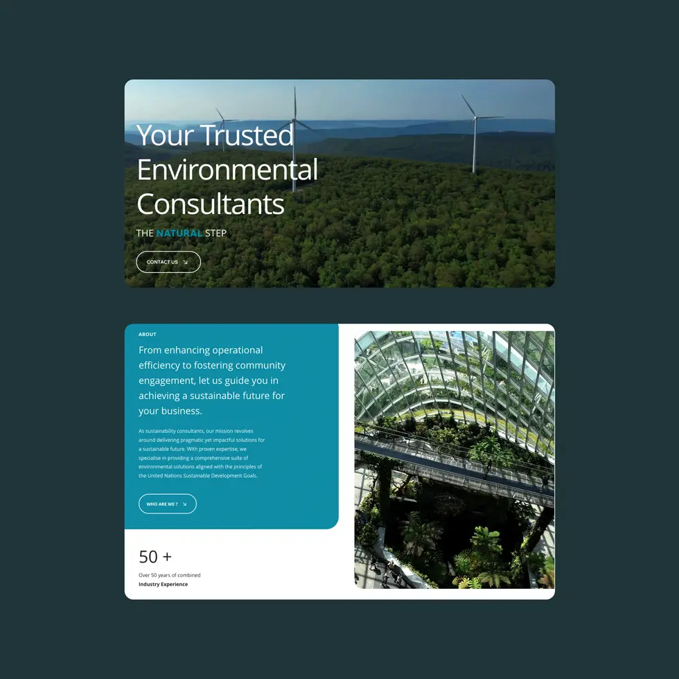 Pure environment website visuals