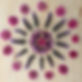 nature mandala.jpg