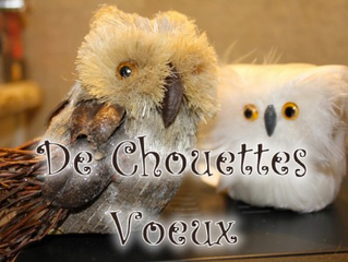 Bonne année !