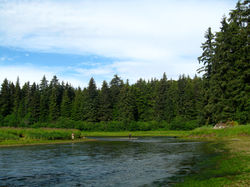 IMG_5226.JPG