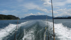 IMG_4255.JPG