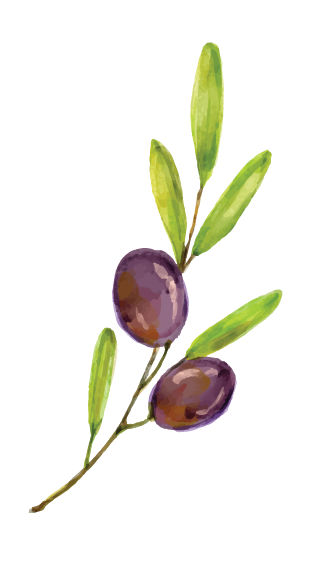 Olive Tree Formats-site-06.png