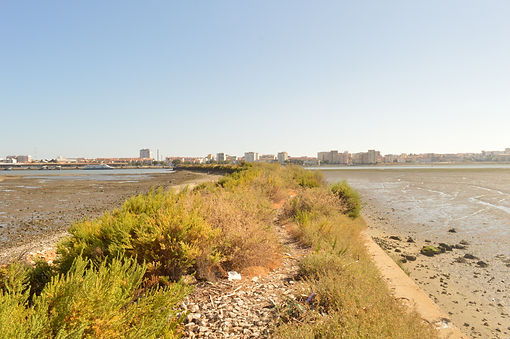 DSC_0048.JPG