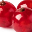 Quandong_edited.jpg