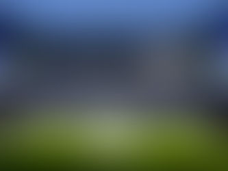 To Dare Is To Do TIFO