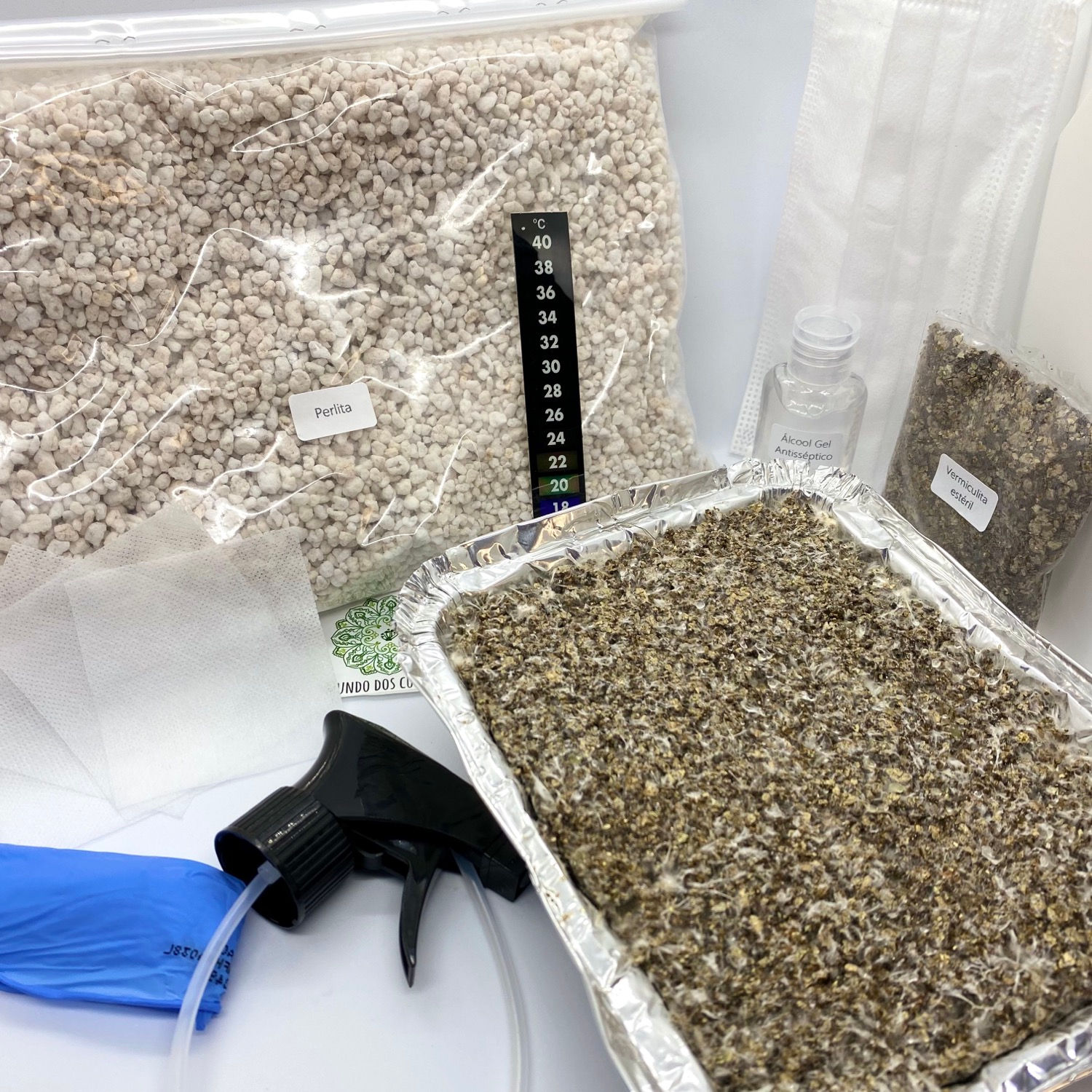 Kit cultivo COMPLETO 1L de P. cubensis