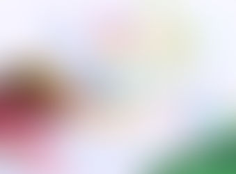 Nosso presente pra você ficou pronto! Quer recebê-lo?