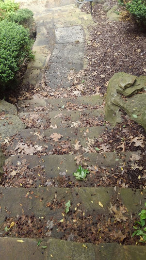 Powerwashing Plus Residential Sidewalk Steps Before.jpeg