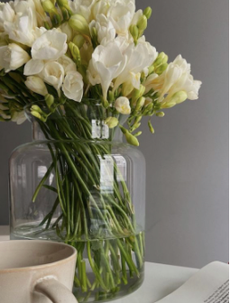 Lifestyle image, Minimalistic aesthetics, Flowers, Morning routine
