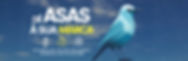 Banner para loja online site super seguro mercado shops médio (1).jpg