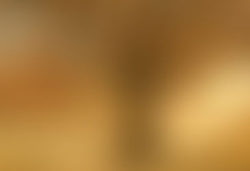 Et si vous faisiez comme les arbres ? Profitez de l’automne pour lâcher prise