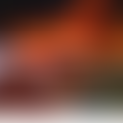 ‘Crime against culture’: Brazil’s Historic Cinematheque is destroyed by fire