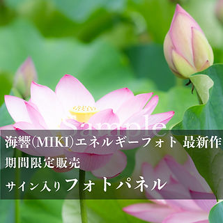 クラファン限定フォト3.jpg