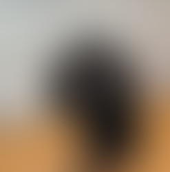 Meet Cooper the Anxiety dog and Murphy Cocker Spaniel 