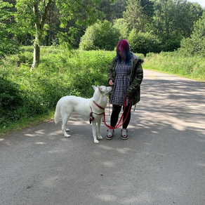 Bella and Rusky the Huskies