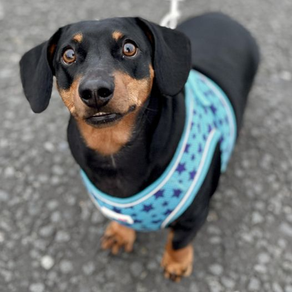 Frank's Training Journey Continues!