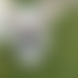 Aaron and his lovely family 