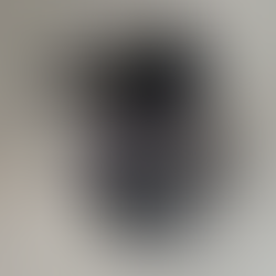 Today we started teaching Ziggy the all-important hand touch! 