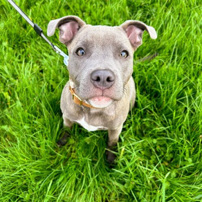 No Longer Nervous Nala
