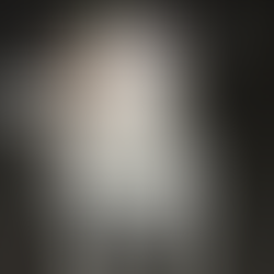 Max the lead aggressive Jack Russell