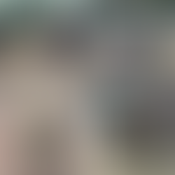 A Thursday of helping dogs with their reactivity