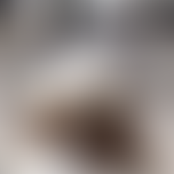 Virtually Revisiting Breckon the resource guarding and overexcited Dog